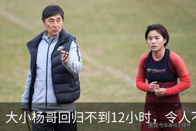 大小杨哥回归不到12小时，令人不悦的一幕出现，曾志伟已逆风翻盘