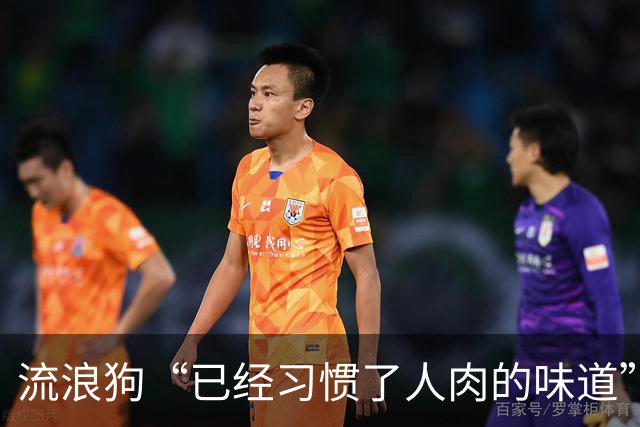 流浪狗“已经习惯了人肉的味道”