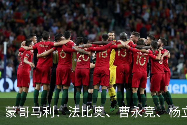 蒙哥马利：法比奥、曹永竞、杨立瑜都会缺席明天的比赛