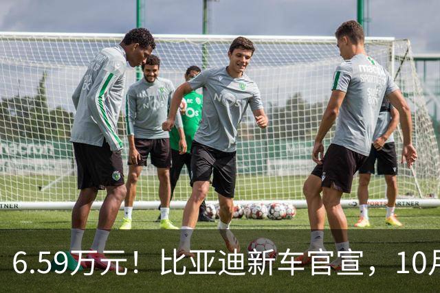 6.59万元！比亚迪新车官宣，10月21日开售